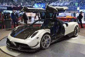 伊布表态,分享黑白儿,童亲密互动,金年会6676官方网站,金年会体育6676网页版,金年会官网6676入口,金年会官网6676首页