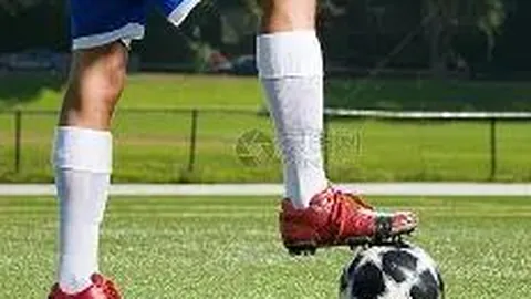 金年会官网6676入口 产品 100418 fxn