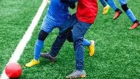 金年会官网6676入口 资讯 100409 hb6