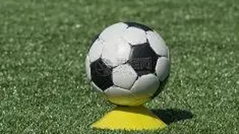 金年会官网6676入口 产品 090341 704